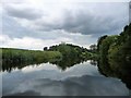 SE3567 : The River Ure, near Newby Hall by Christine Johnstone