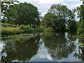 SE3268 : Former slipway, west bank, Ripon Canal by Christine Johnstone