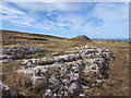 SH7783 : Gorsedd Uchaf over Great Orme Limestone by Matthew Hatton