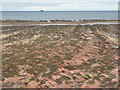 NT6878 : Foreshore at Dunbar by M J Richardson