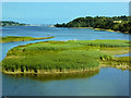 SX8872 : Teign Estuary, Hackney Channel by David Dixon