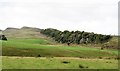 NY7166 : View to Cawfield Crags by Gordon Hatton