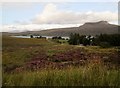 NH0192 : Durnamuck  crofts  with  Little  Loch  Broom  beyond by Martin Dawes