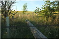 SE3049 : Fences near Oak Bank Farm by Derek Harper