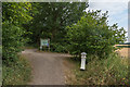 TQ1760 : Bridleway, Ashtead Common by Ian Capper