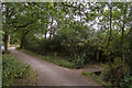 TQ1760 : Bridleway, Ashtead Common by Ian Capper