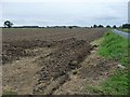 SE4471 : Bare field at Ray Banks by Christine Johnstone