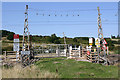 TQ8085 : Kersey #7 level crossing, Hadleigh Marsh by David Kemp