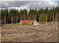 NH5034 : Cleared forest, Wester Cudrish by Craig Wallace