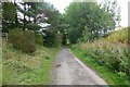 NZ1547 : Lanchester Valley Railway Path by Russel Wills