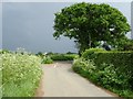 SJ4528 : Country road junction by Philip Halling