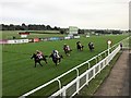 SK6100 : Leicester Racecourse - A close finish by Richard Humphrey