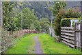 NT3336 : Path by the Leithen Water by Jim Barton