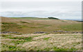 NZ0905 : Ruined wall crossing grassy moorland by Trevor Littlewood