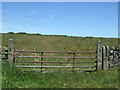  : Field entrance off the B6282, Hindon Hill by JThomas