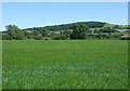 NZ1925 : Crop field near Hummerbeck Farm by JThomas