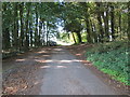 TL9096 : Road  side  parking  in  woodland by Martin Dawes