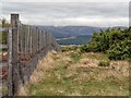 NH7702 : Deer Fence by valenta