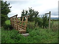 NY7412 : Signpost and footbridge for the public footpath to Ploughlands by Christine Johnstone