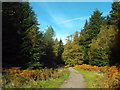 TQ5152 : Autumn colour near Sevenoaks by Malc McDonald