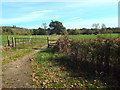 TQ5151 : Footpath through a field near Sevenoaks Weald by Malc McDonald