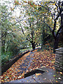 SD7441 : Clitheroe Castle park: autumn paths by Stephen Craven