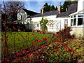 H4573 : Rosehips, Arleston House, Omagh by Kenneth  Allen