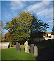 SK9324 : Churchyard tree by Bob Harvey