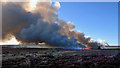 NZ6514 : Moor burning, Stanghow Moor by Mick Garratt