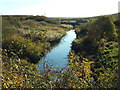 TQ4882 : Drainage channel near Dagenham by Malc McDonald