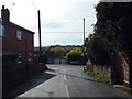 TL8729 : Bures Road, White Colne by Geographer