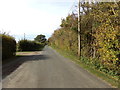 TL8729 : Boley Road, White Colne by Geographer