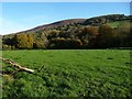 SO2419 : Coed Ynysfaen and a nameless conifer plantation above by Christine Johnstone