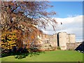 NS7993 : The Queen Anne Garden at Stirling Castle by Graham Hogg