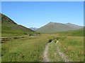  : Track up Glen Affric by Richard Webb