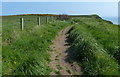 TA2569 : Headland Way at Flamborough Head by Mat Fascione