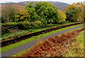 SO2602 : Remains of Pentrepiod Halt railway station, Torfaen by Jaggery