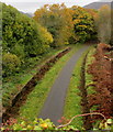 SO2602 : Path through the remains of Pentrepiod Halt railway station, Torfaen by Jaggery