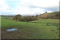 SD0896 : Grassland beside the A595, Ravenglass by Graham Robson