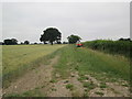 SE7634 : Field  edge  footpath  into  Spaldington by Martin Dawes