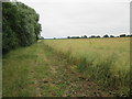 SE7435 : Field  edge  footpath  in  Rape  field by Martin Dawes