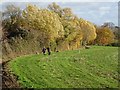 SO8936 : Dog walkers on a footpath by Philip Halling