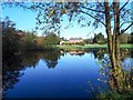 TL8294 : Lynford Lakes reflection by David Pashley