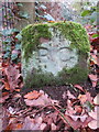 SJ2484 : A Birkenhead Glegg boundary stone by Thurstaston Dawpool School by John S Turner