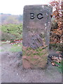 SJ2485 : A Birkenhead Glegg boundary stone on Thurstaston Common by John S Turner