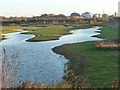 SE8732 : The western edge of Dryham Ings by Christine Johnstone