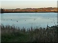 SE8832 : Main Lake, YWT North Cave Wetlands nature reserve by Christine Johnstone