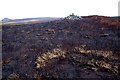 NZ5912 : Bronze Age Round Cairn on a scorched moor by Mick Garratt