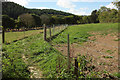 SX8074 : Fenced path to Old Liverton by Derek Harper