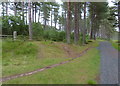 NO4927 : Fife Coastal Path in the Tentsmuir Forest by Mat Fascione